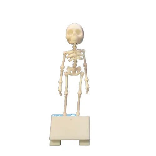 Dancing Skeleton Aquarium Decoration